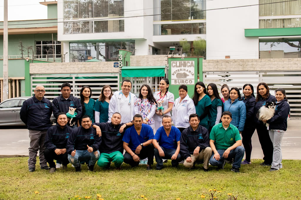 Imagen nosotros de CLíNICA VETERINARIA SURCO