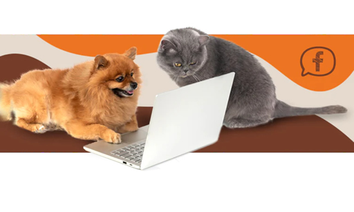 Imagen nosotros de IDEAS Y SOLUCIONES COMERCIALES S.A.C.