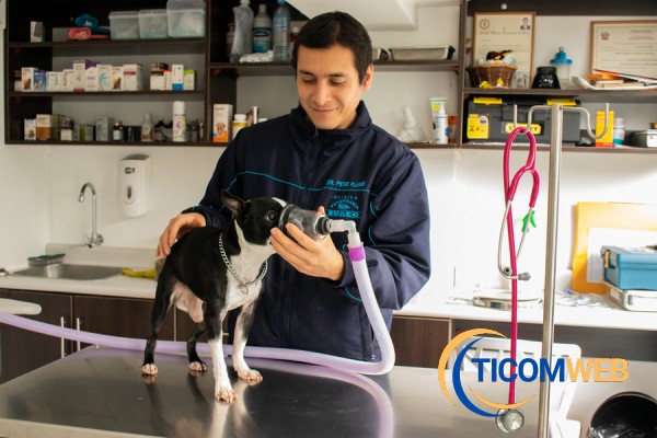 Medicina General para Mascotas